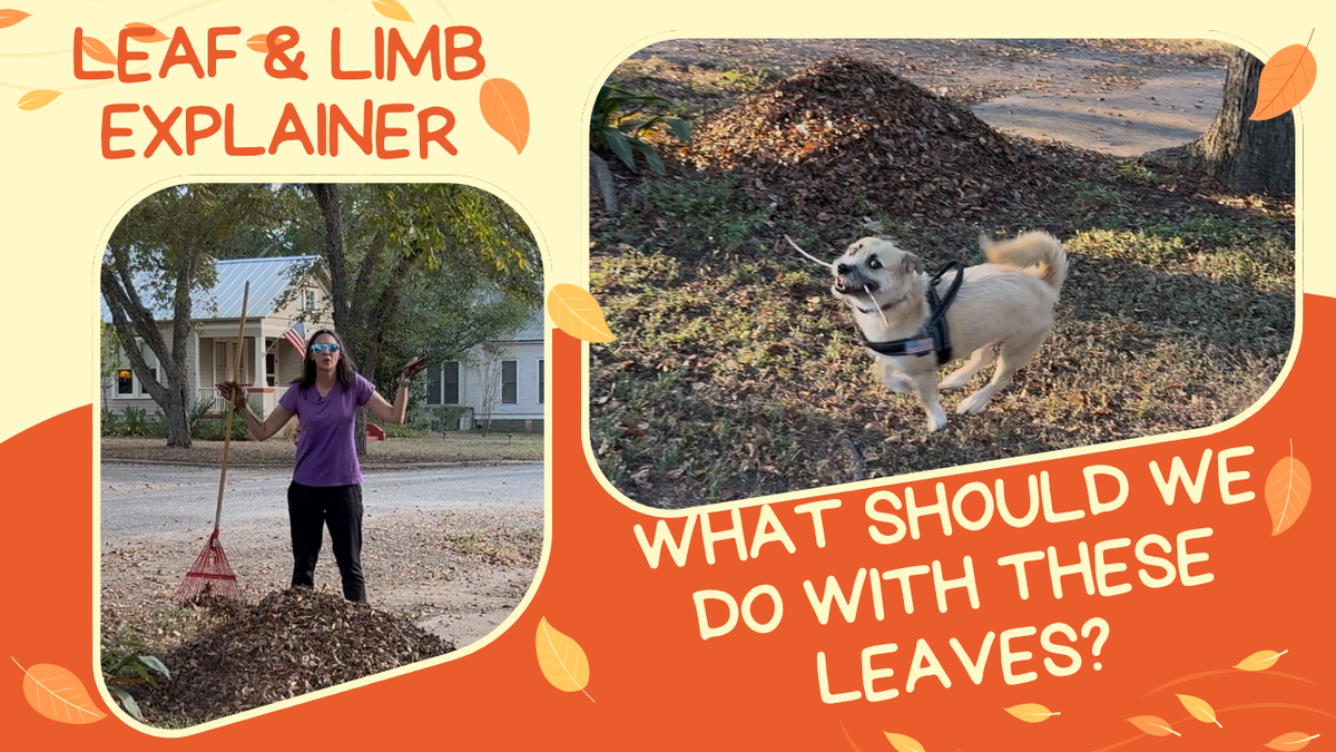 How to Prepare Leaf and Limb Waste for Pickup in Smithville