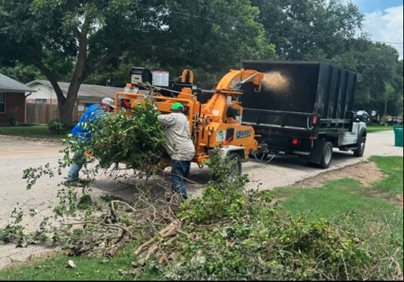 Leaf and Limb Pickup Changing to On-Demand in Smithville